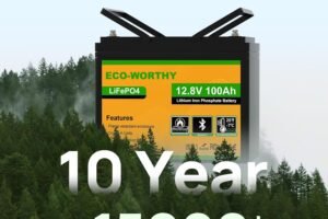 ECO-WORTHY 12V 100Ah LiFePO4 Battery with Bluetooth & Low-Temp Cut Off — In-Depth Review